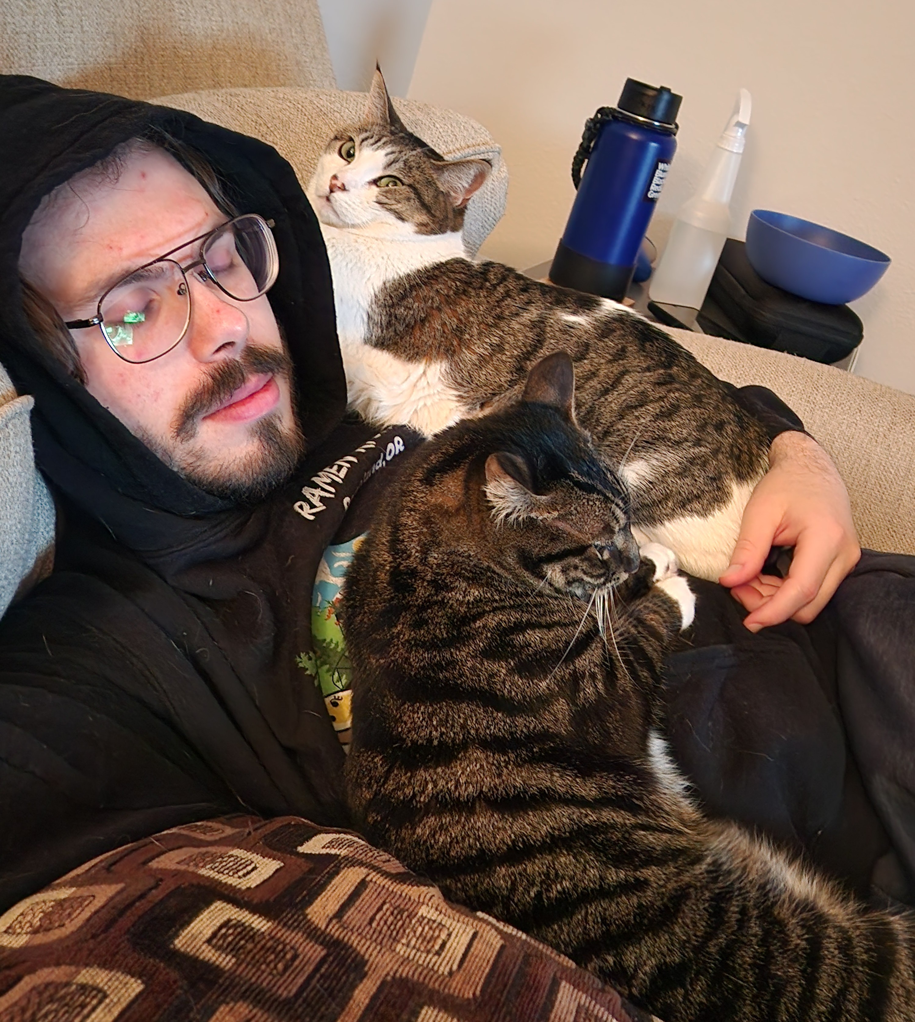 Man in hoodie on couch with 2 cats covering him